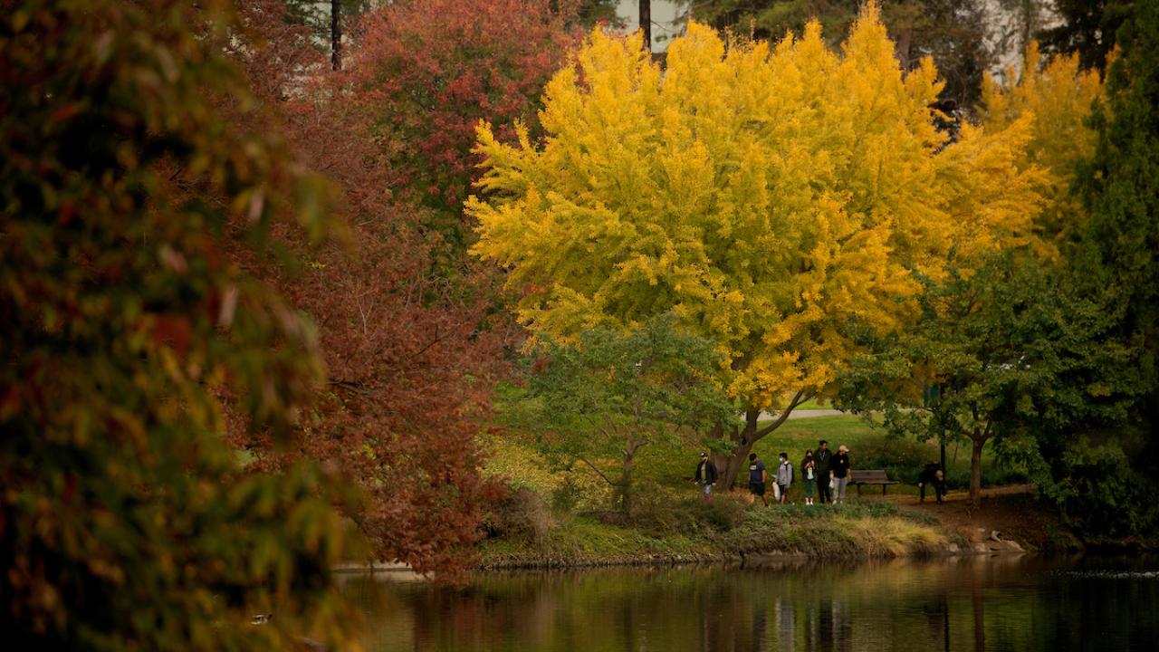 Fall